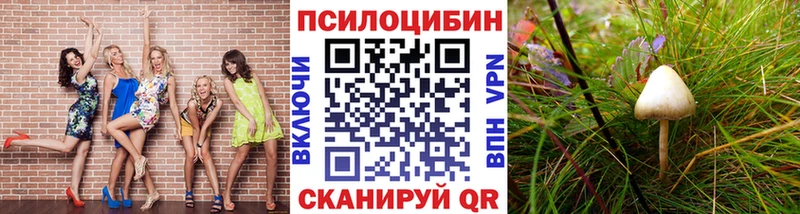 Псилоцибиновые грибы Psilocybe mega ссылки Карабаш купить